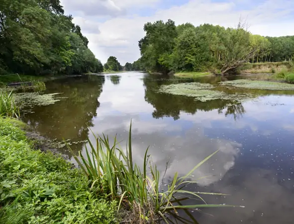 Vallée du Thouet et Marais de Distré