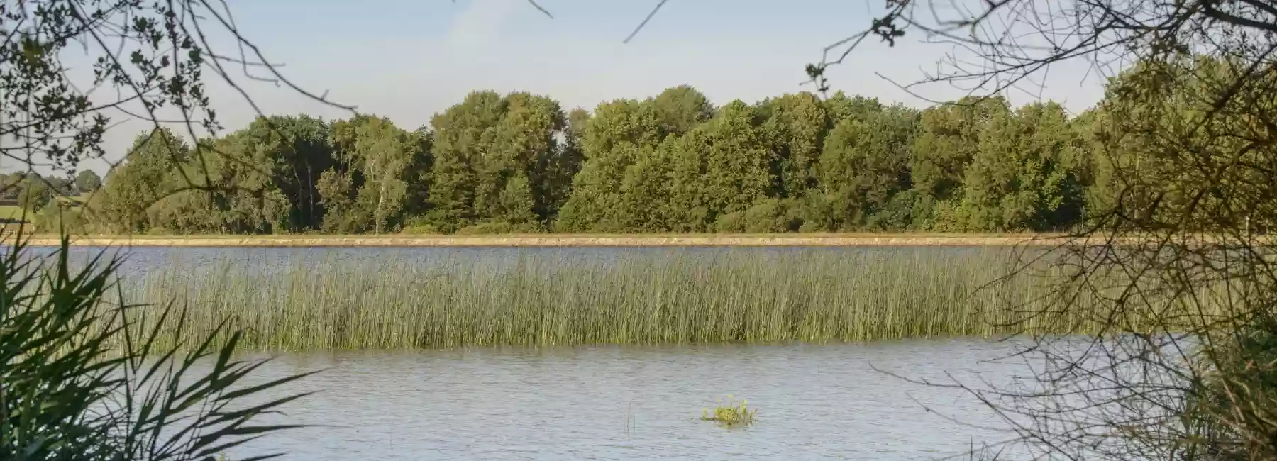 Étang des Noues Nature (49)